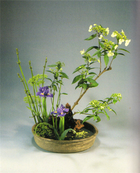 2.傾斜型傾斜性