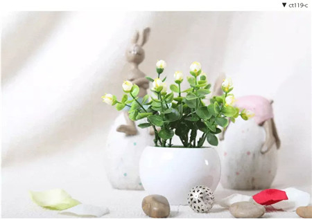 茉莉花 藥用價(jià)值