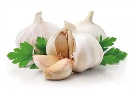 掌握這5點，養(yǎng)花再也不招蟲！