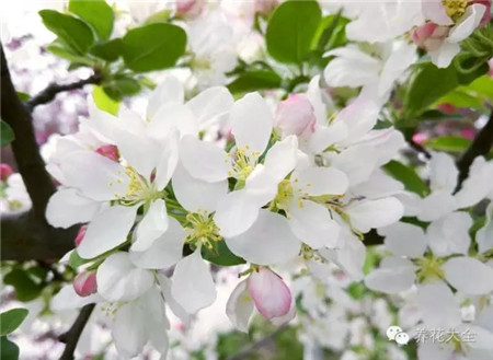 是不是相當(dāng)迷人