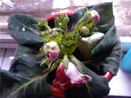 環(huán)境的變化