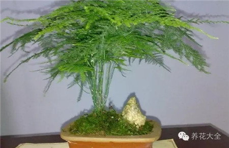 八月氣候特點(diǎn)