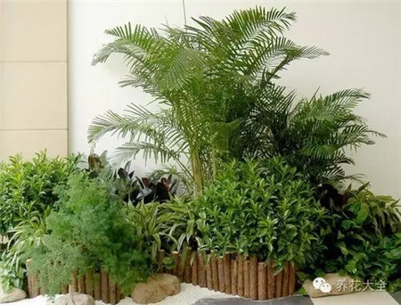 有光照無直射光