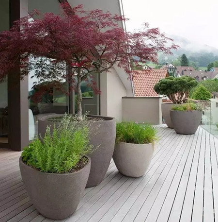 養(yǎng)的花老死，很可能是你花盆用的不對(duì)