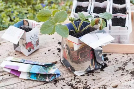 養(yǎng)的花老死，很可能是你花盆用的不對(duì)