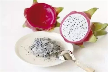 火龍果盆栽制作的工具/原料