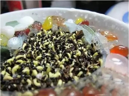 種子開始發(fā)芽