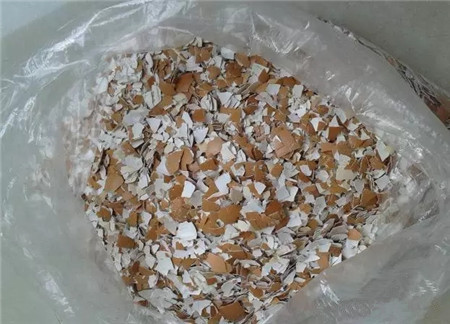 那些火爆網(wǎng)絡的養(yǎng)花技巧