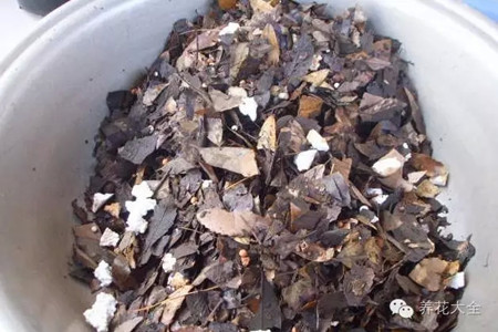 樹皮、鋸末等