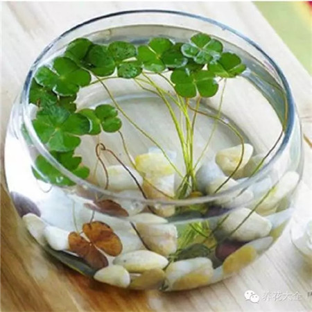 養(yǎng)分不易分解