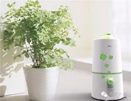 空氣加濕器