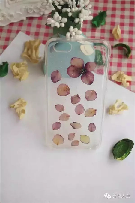 手機(jī)殼裝飾