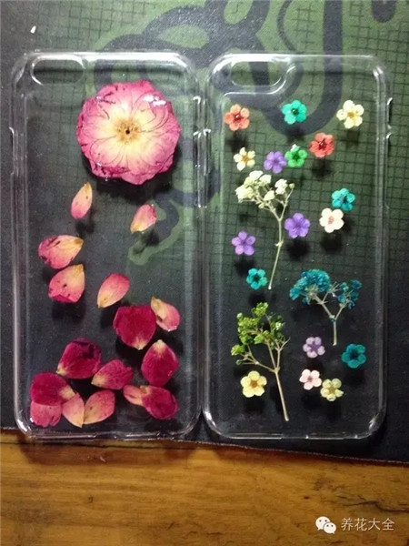 裝飾手機(jī)殼