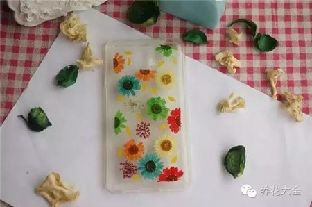 漂亮的手機(jī)殼