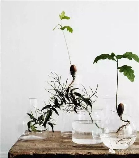 夏季養(yǎng)護之施肥