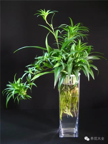 冬季養(yǎng)護之換水