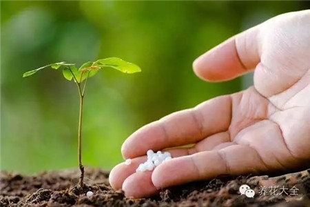 施肥要科學(xué)