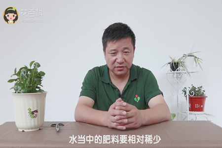 水當(dāng)中的肥料要相對稀少