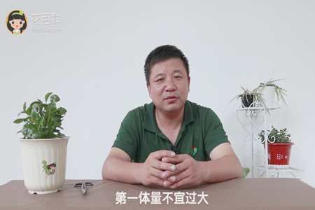 第一體量不宜過(guò)大