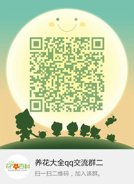 養(yǎng)花交流qq群號 159727844