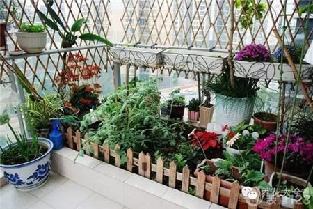 朝東和朝西的窗臺和陽臺