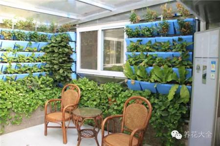 陽臺種菜會把家里弄亂怎么辦