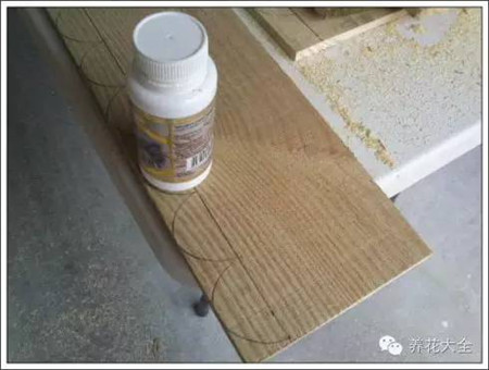 100%回頭率的陽臺花園,自己動(dòng)手做一個(gè)