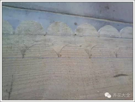 100%回頭率的陽臺花園,自己動(dòng)手做一個(gè)