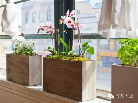 創(chuàng)意花器提升逼格