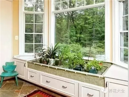 創(chuàng)意花器