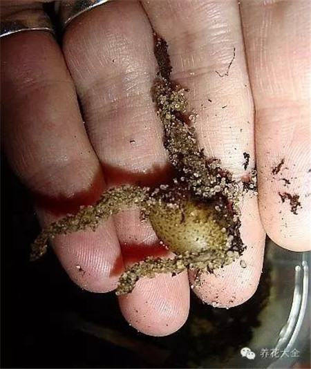 保持土壤濕潤(rùn)