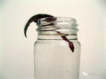 找一個(gè)瓶子里面裝水