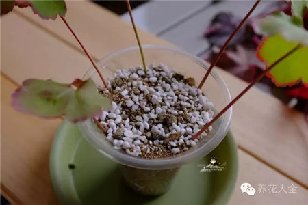 繼續(xù)加介質(zhì)