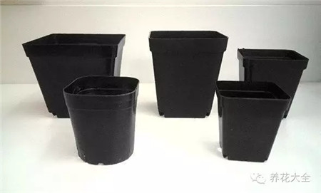 舊的花盆、丙烯顏料。