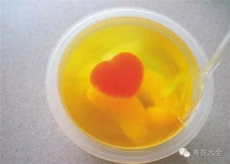 買一個大的果凍