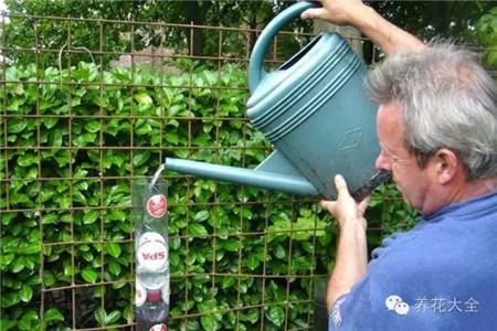 往最頂部的塑料瓶里加水