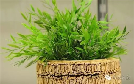 草木灰能放置落葉