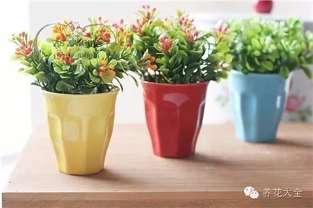 護(hù)根，提高成活率