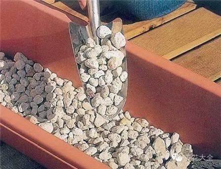 在花盆里面放入缽底石