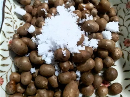 山藥豆果實(shí)