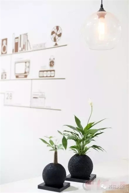 竹炭顆?；ㄅ? border=