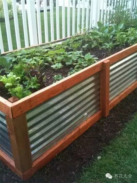 土壤酸堿度問題