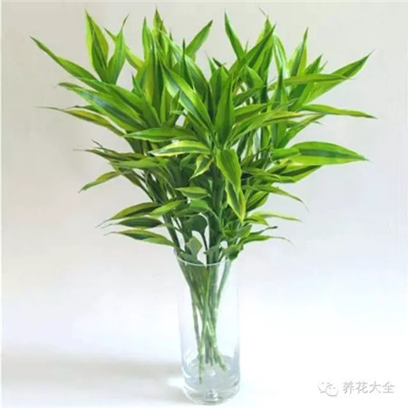 依季節(jié)施肥