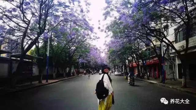 她叫涵雪，一個(gè)出生于湖南的姑娘。本該安安穩(wěn)穩(wěn)過完這一生。但她卻有一顆不安分的心靈，對(duì)這個(gè)世界充滿憧憬與遐想。