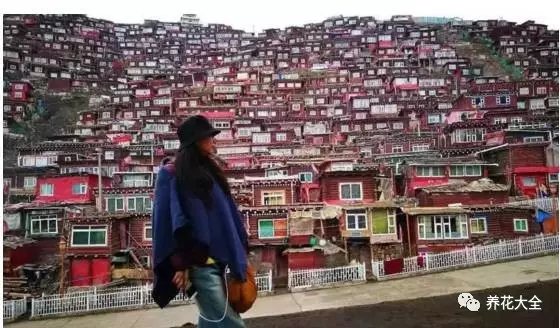 麗江的隨性、慵懶、散漫讓她深陷其中。這里文化和民俗氣息仿佛從古老的歷史中浸透出來(lái)，緩緩飄散、彌漫，包圍著她，令她著迷。