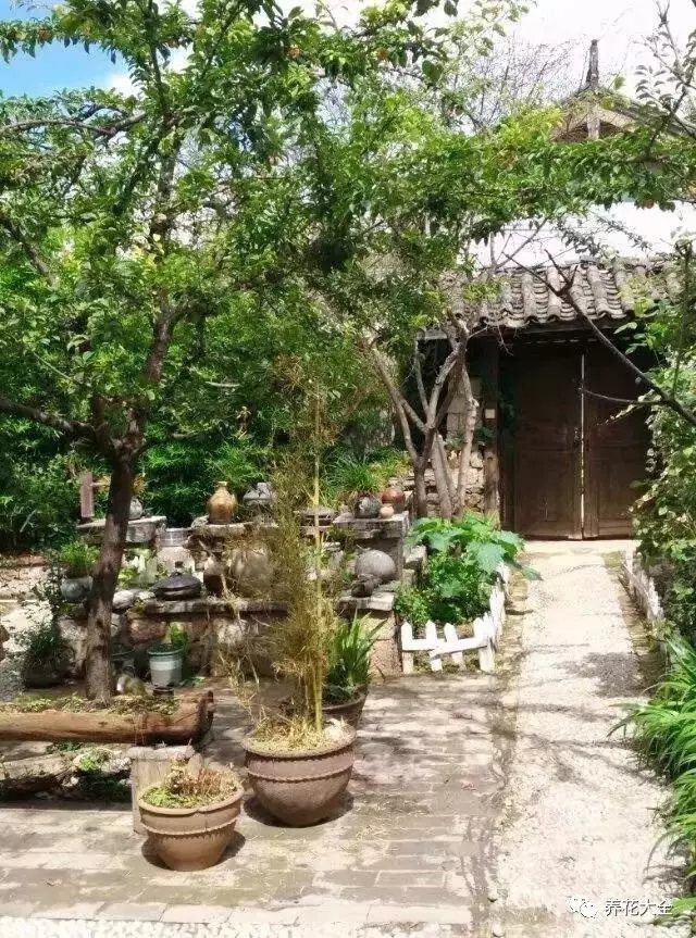 看著這樣雜亂無(wú)章的院子，涵雪的眼中卻亮起了光芒。她決定把租下這片院子，并開始改造。