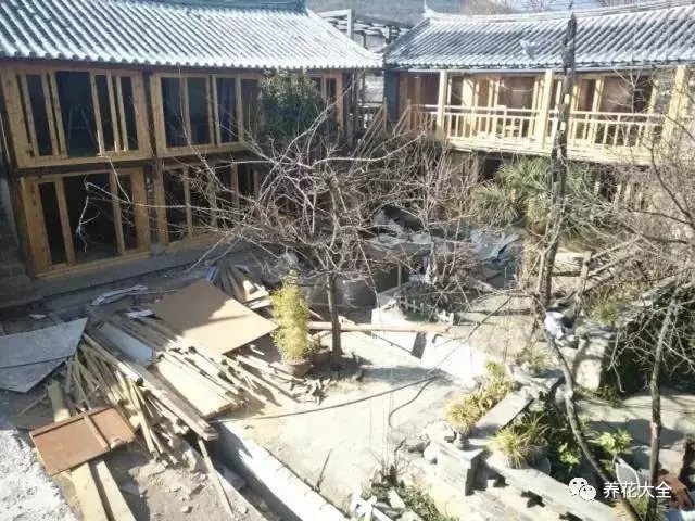 經(jīng)過一番修整，原本殘破的屋頂又煥然一新。