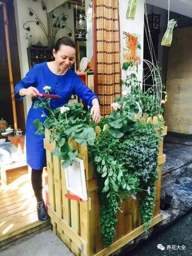 有時(shí)候來(lái)到這里，還能碰到涵雪在門前打理花草，滿臉幸福的笑意。