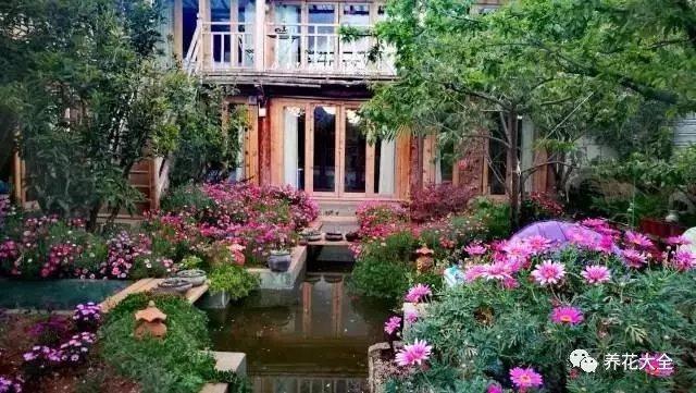  芍藥、薔薇、雛菊、薰衣草……肆意盛開，進(jìn)到園中，不由地駐足停留，放慢腳步，流連在花間。