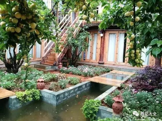 群花盛放后，就輪到果子上場(chǎng)了。棵棵果樹碩果累累，李子、石榴、櫻桃……爭(zhēng)相成熟。